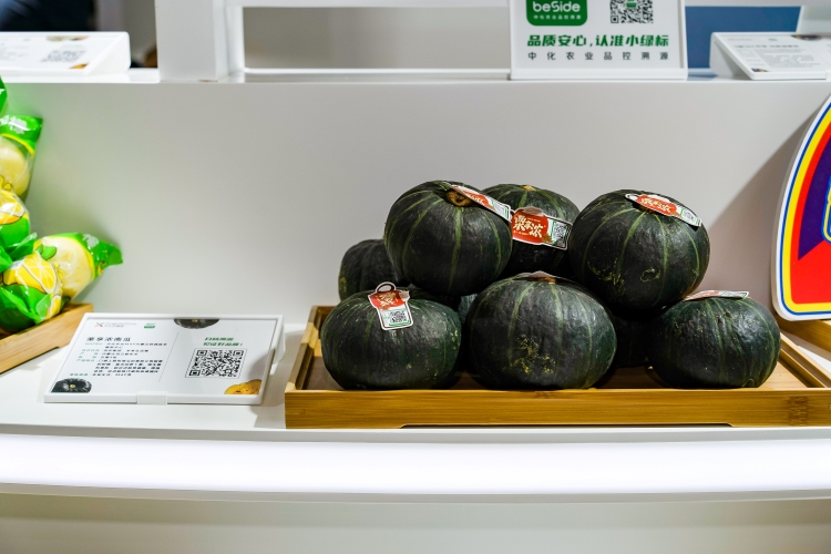 OEŷ��|�ٷ���վ